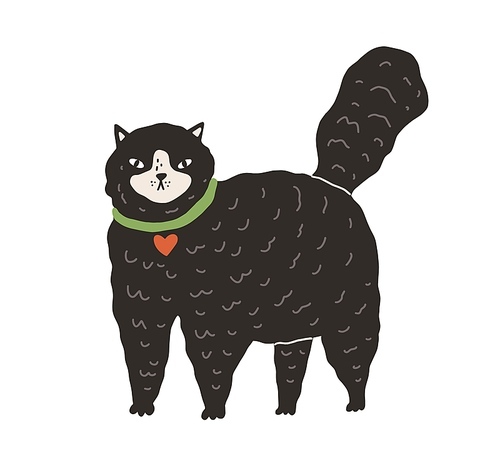 cute black fluffy cat standing on all four paws with tail raised up. big fat kitty isolated on white . hand-drawn colored flat vector illustration in doodle style.