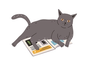 Cute and funny naughty cat lying on book. Adorable gray kitty isolated on white background. Hand-drawn colored flat vector illustration in doodle style.