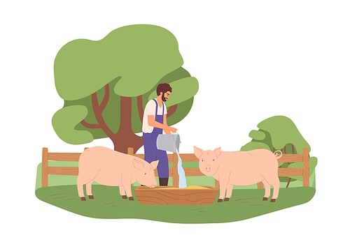 Agrarian pouring water from bucket into wooden trough for pigs. Young farmer feeding domestic swines in farm. Livestock care concept. Colored flat vector illustration isolated on white .