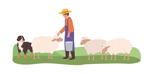 Farmer grazing domestic sheep with shepherd dog. Sheepman feeding ewes. Animal husbandry and stock raising. Colored flat vector illustration of herdsman isolated on white .