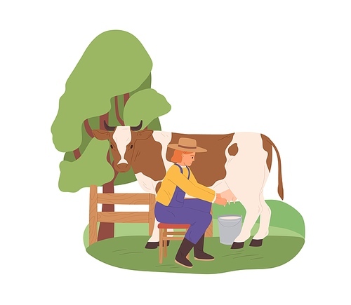Milkmaid milking cow with bucket under udder. Farmer and domestic animal on organic farm. Dairymaid and cattle in countryside. Colored flat vector illustration of farmland worker isolated on white.