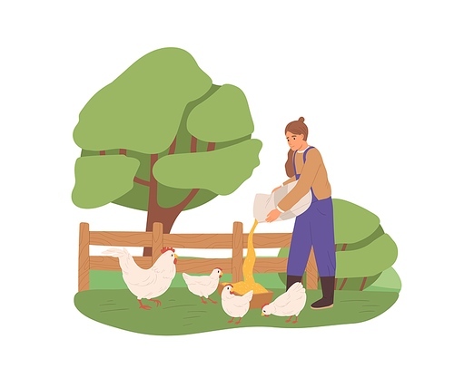 Female farmer feeding chickens, pouring corns, grains and seeds for hens into trough on farm. Woman working in nature. Colored flat vector illustration of domestic poultry isolated on white .
