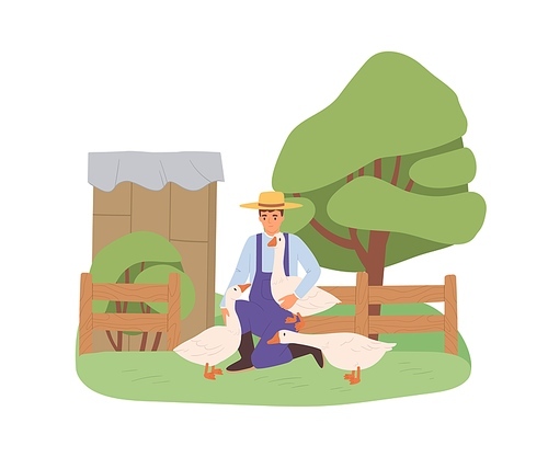 Young farmer with geese on farm. Man and domestic birds on summer yard in village. Person and poultry in countryside. Flat vector illustration isolated on white .