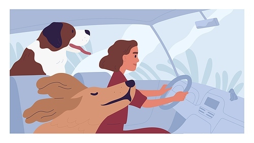 Young person driving car with happy dogs. Concept of pet taxi service. Side view of woman driver traveling with animals. Colored flat cartoon vector illustration of road trip.