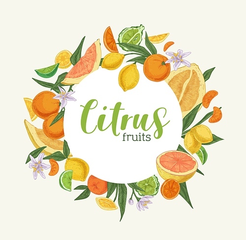 Card template design with circle-shaped frame of mixed citrus fruits. Hand-drawn swirl with tropical oranges, lemons, bergamot, pomelo, tangerines and limes. Colored vector illustration.