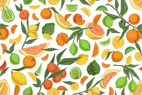 Seamless pattern with different citrus fruits on white background. Hand-drawn endless texture with oranges, lemons, tangerines, bergamot and grapefruits. Colored vector illustration for printing.