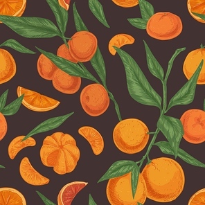 Seamless citrus pattern with clementines or tangerines, leaves and branches of mandarin tree on dark background. Hand-drawn texture with fresh fruits in vintage style. Colored vector illustration.