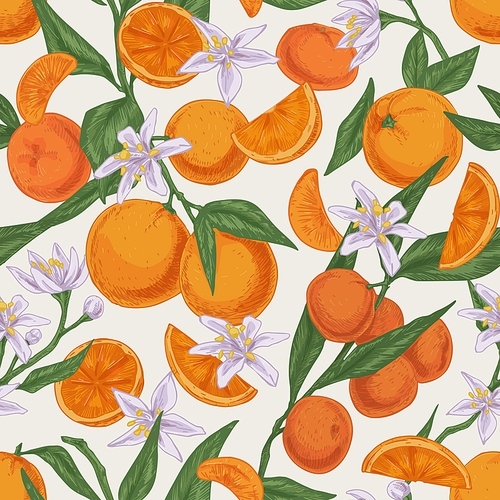 Seamless realistic citrus pattern with whole fruits, blossomed flowers and leaves of orange tree on white background. Endless texture in vintage style. Colored drawn vector illustration for printing.