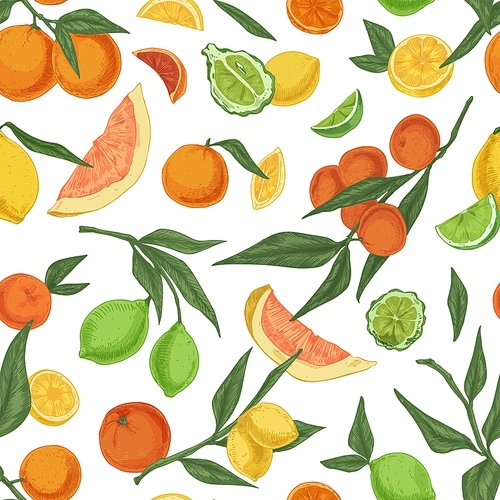 Seamless pattern with mix of colorful citrus fruits on white background. Endless repeatable texture with orange, tangerine, bergamot, lemon, and lime. Realistic colored hand-drawn vector illustration.