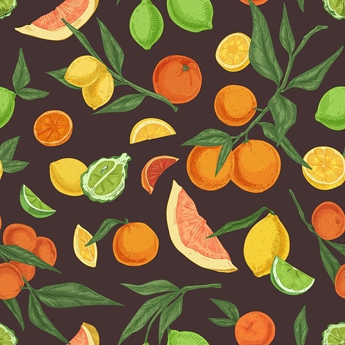 seamless fruity pattern with different citrus fruits on  background. endless repeatable texture with realistic oranges, lemons and limes. hand-drawn colored vector illustration for printing.