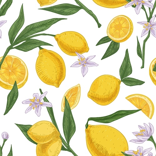 Seamless citric pattern with citrus fruits, flowers and leaves of blooming lemon tree on white repeatable background. Endless texture in retro style. Drawn colored vector illustration for printing.