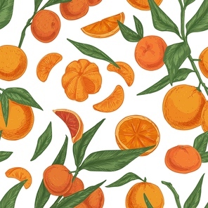 Seamless citrus pattern with tangerine, mandarin or clementine branches on white background. Endless repeating texture in vintage style. Colored hand-drawn vector illustration for printing.
