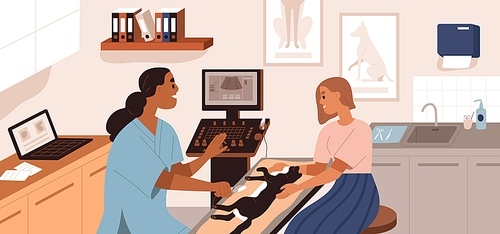 Ultrasound diagnostics in vet clinic. Pet owner holding cat while veterinarian examining patient in modern veterinary office with USI device. Colored flat vector illustration of animal health checkup.