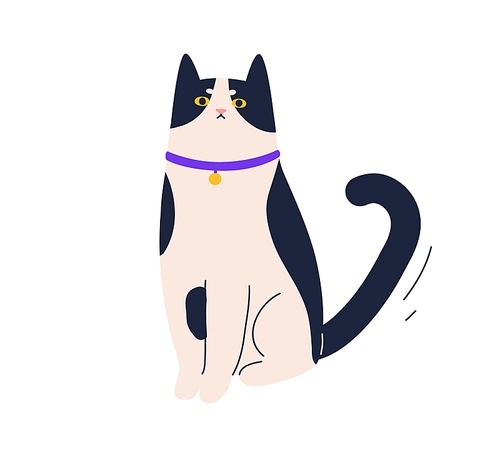 cute angry cat sitting with frowning face expression. portrait of funny unimpressed kitty. adorable dissatisfied kitten. colored flat vector illustration of sweet pet isolated on .
