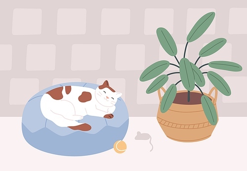 Relaxed cat sleeping in its bed in cozy room with plant. Cute sleepy pet lying on cushion at home. Colored flat vector illustration of kitty dreaming on pillow.