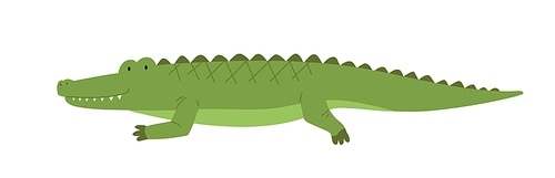 Cute friendly crocodile. Side view of happy smiling alligator isolated on white . African wild baby gator. Childish colored flat cartoon vector illustration.