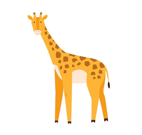 Cute little baby giraffe. Funny smiling African animal. Colored flat cartoon vector illustration of happy childish character isolated on white .