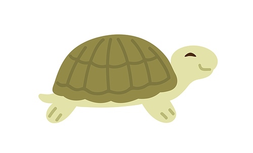 Cute and funny green turtle with shell. Side view of happy tortoise character crawling. Colored flat vector illustration of baby animal isolated on white .