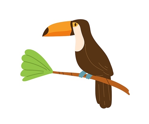 Profile of cute toucan or tucan sitting on tree branch. Funny tropical bird with long yellow beak. Exotic animal character. Colored flat cartoon vector illustration isolated on white .