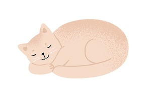 Relaxed fluffy beige cat sleeping vector flat illustration. Cute domestic animal lying enjoying relaxation isolated on white. Funny kitten with furry tail asleep. Happy pet resting with closed eyes.