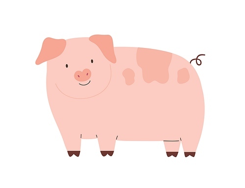 Happy funny pig isolated on white . Cute pink piglet with hooked tail. Childish colored flat cartoon vector illustration.
