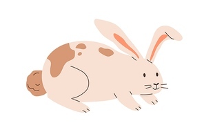 Cute spotted rabbit isolated on white . Happy bunny. Funny animal character. Colored flat cartoon vector illustration.