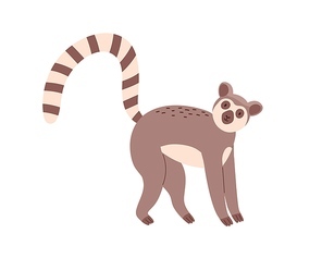Cute and funny lemur with striped long tail isolated on white . Happy animal standing on all four paws. Childish character. Colored flat cartoon vector illustration.