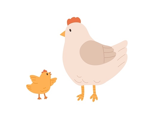 Side view of cute hen and yellow chicken isolated on white . Mom listen to funny baby bird flapping its wings. Colored flat vector illustration.