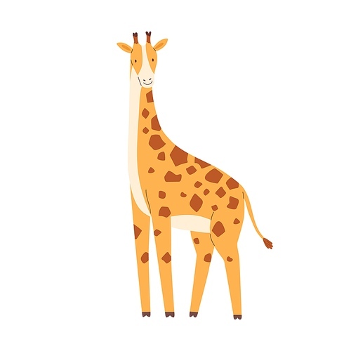 Cute little giraffe isolated on white . Funny African animal. Childish character. Colored flat cartoon vector illustration.