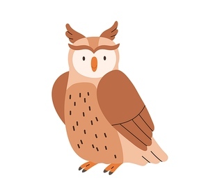 Cute brown owl sitting with folded wings isolated on white . Funny wild bird. Childish character. Colored flat cartoon vector illustration.