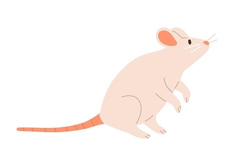 Cute white mouse standing on back paws and sniffing. Rat with long tail and little ears. Childish animal character. Colored flat vector illustration isolated on white .