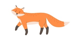Cute red fox with black paws and fluffy tail. Happy smiling animal character with friendly face. Childish flat cartoon vector illustration isolated on white .