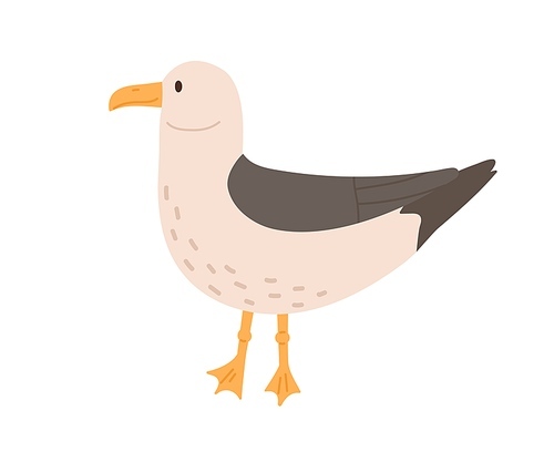 Cute and funny seagull isolated on white . Side view of sea bird called gull with gray folded wings. Colored vector illustration in flat cartoon style.