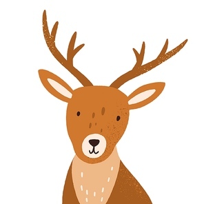 Head of funny young deer with horns. Portrait of adorable reindeer. Cute baby animal isolated on white . Hand-drawn colored flat vector illustration of wild Scandinavian mammal.