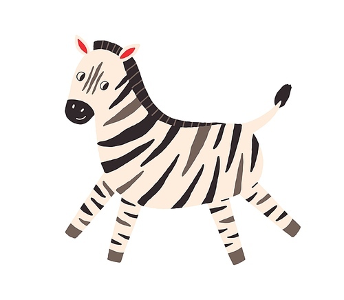 Cute and funny zebra in Scandinavian style. African baby animal walking. Colored flat vector illustration isolated on white .