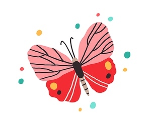 Top view of butterfly with bright spotty wings. Exotic flying insect in doodle style. Colorful flat vector illustration of vivid moth isolated on white .