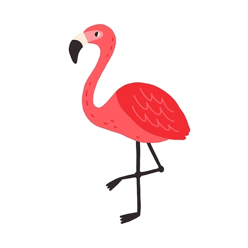Cute funny flamingo standing on one leg. Tropical pink bird drawn in doodle style. Colored flat vector illustration of baby character isolated on white .