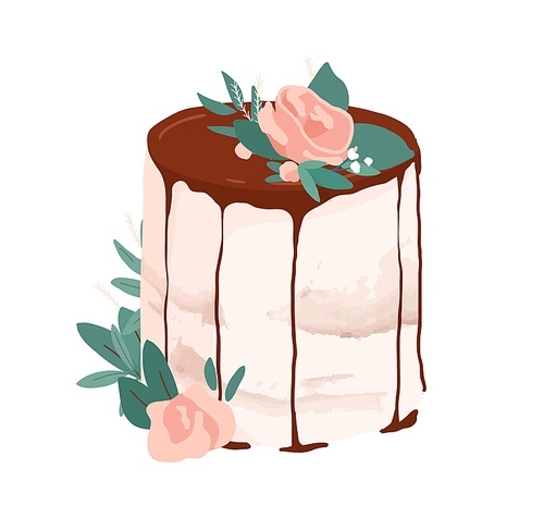 Wedding or birthday dessert decorated with rose flower, leaves and drippy topping. Festive layered creamy cake topped with chocolate glaze. Colored vector illustration isolated on white .