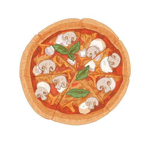 Top view of mushroom pizza with champignons, chanterelles, mozzarella cheese, sauce, basil leaves and thick crust. Hand-drawn Italian vegetarian food. Vector illustration isolated on white .