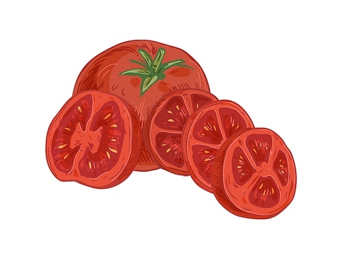 Whole ripe fruit, half and slices of sweet red tomato with peduncle. Composition with fresh organic vegetables. Colored hand-drawn vector illustration of ripened veggies isolated on white .