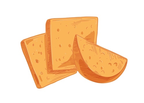 Swiss cheese slices with holes isolated on white . Composition with cheeze pieces. Hand-drawn vector illustration of holland milk chees.