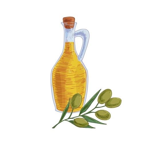 Composition of transparent glass pitcher full of fresh extra virgin olive oil and tree branch with fruits. Corked jug isolated on white. Colored realistic hand-drawn vector illustration.