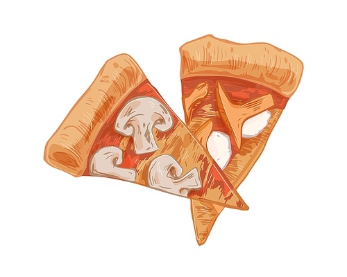 Italian mushroom pizza slices with champignons, chanterelles, and mozzarella cheese. Cut triangle pieces or segments with thick edge. Realistic hand-drawn vector illustration isolated on white.
