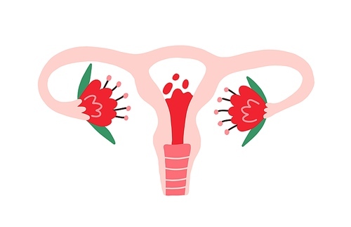 Female uterus with menstrual blood inside and flowers. Womb organ during menstruation. Women reproductive system and period. First cycle concept. Flat vector illustration isolated on white .