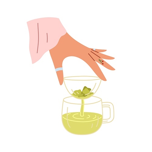 Hand making green tea with strainer and Chinese leaves. Woman brewing and pouring healthy hot drink through filter into glass cup. Flat vector illustration isolated on white .