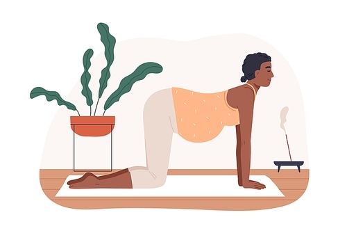 pregnant woman exercising, practicing prenatal yoga. mom with belly training in cat pose during pregnancy. mother in cow position on mat at home. flat vector illustration isolated on .