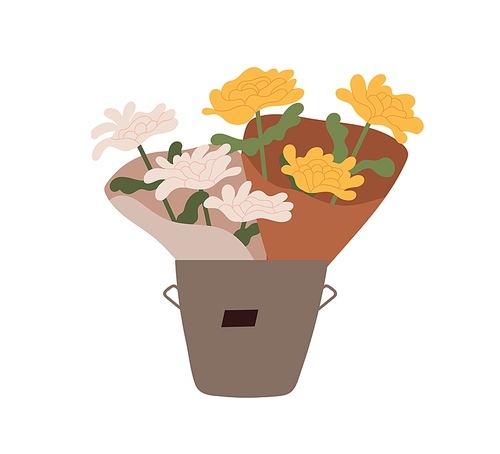 Chrysanthemums flowers wrapped in paper for sale. Floral bouquets of fresh blossomed chrysanths in bucket. Pretty posies with lush petals. Flat vector illustration isolated on white .