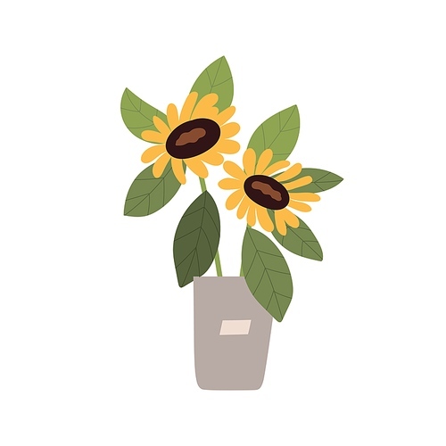 Sunflowers in bucket. Fresh cut field flowers with leaf in vase. Blossomed showy floral plant with leaves in pot. Colored flat vector illustration isolated on white .