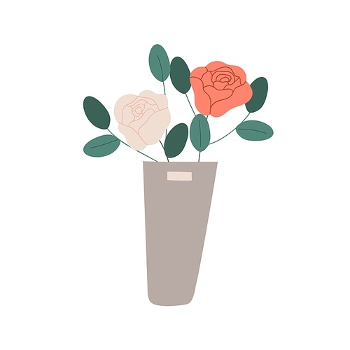 Blooming flowers in vase. Fresh cut blossomed roses in bucket. Romantic floral gift with elegant gorgeous lush buds. Colored flat vector illustration isolated on white .