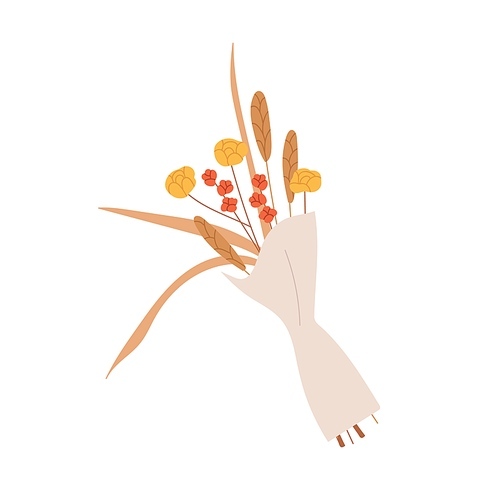 Wild flowers bunch. Floral bouquet of cut wildflowers wrapped in paper. Posy of meadow and field blooming plants, spikelets as gift. Colored flat vector illustration isolated on white .
